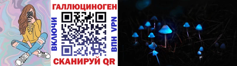 OMG вход Геленджик Псилоцибиновые грибы Psilocybine cubensis