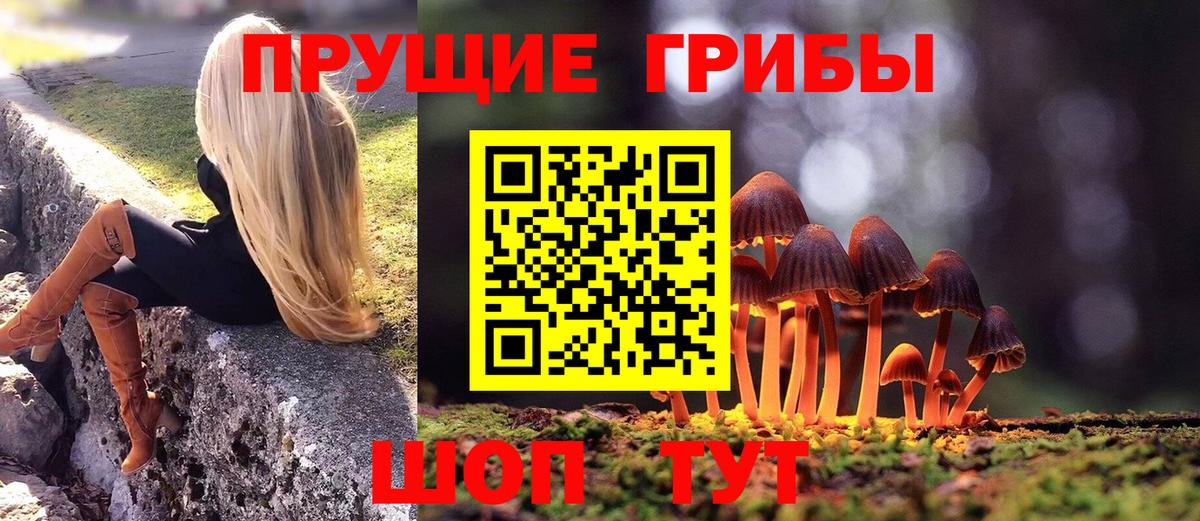 Псилоцибиновые грибы Cubensis Геленджик