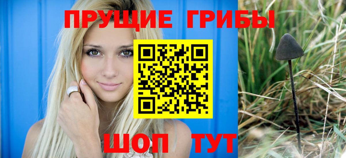 Геленджик  Псилоцибиновые грибы Cubensis  Вход с VPN 