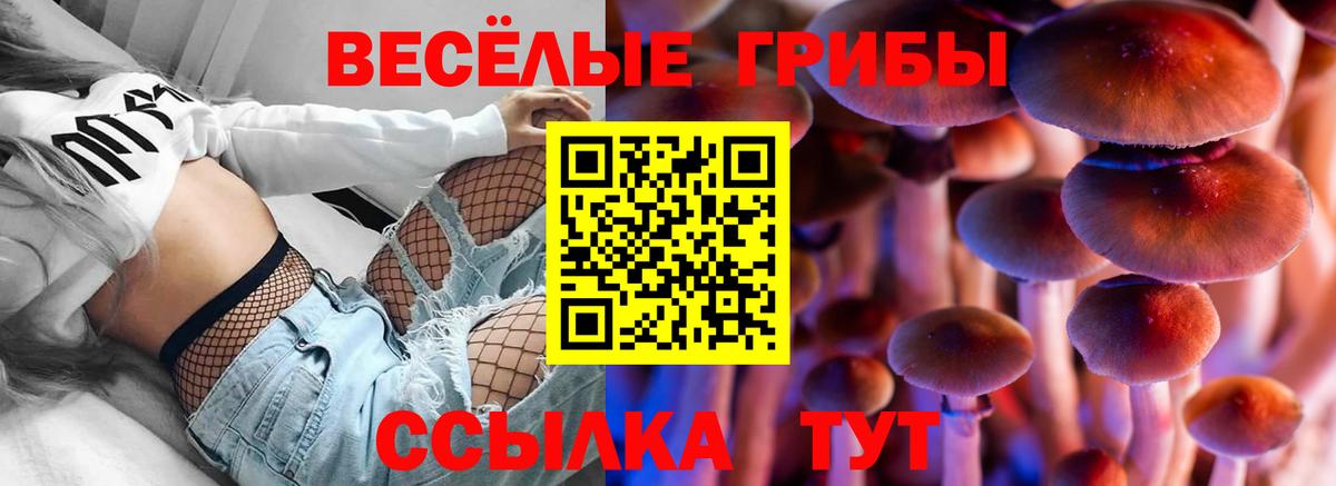 Псилоцибиновые грибы GOLDEN TEACHER  Геленджик 